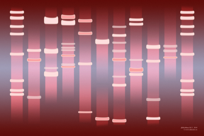 ДНКоМикс - твой персональный ДНК-портрет